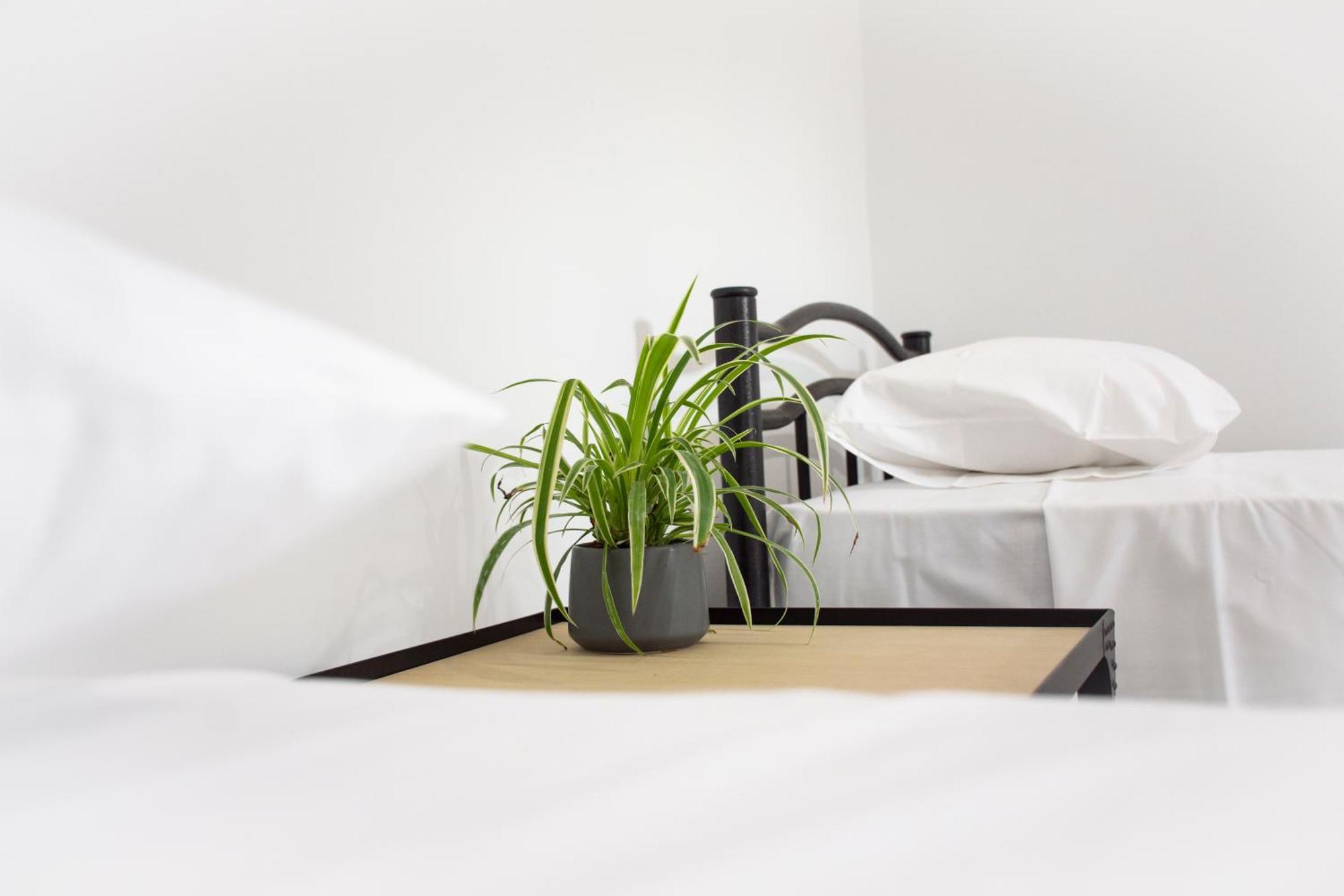 Christina Apartment Kíssamos Dış mekan fotoğraf